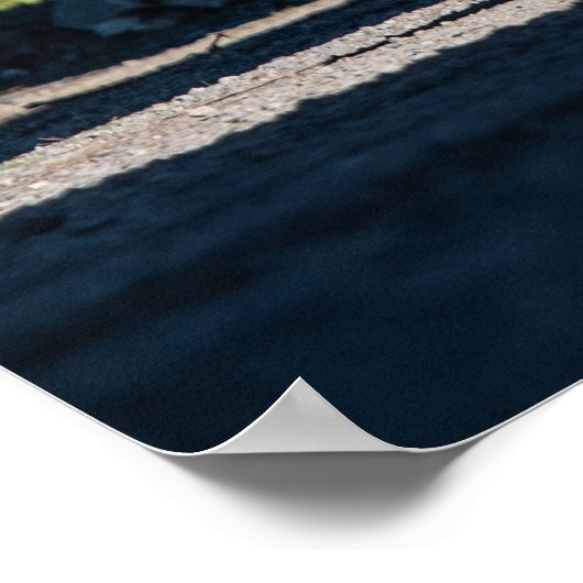 Poster Touring 1969 Pro Firebird (Coin)