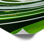 Poster Tourner SpiderLily (Coin)