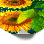 Poster Tournesol (Coin)