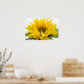 Poster Tournesol (Cuisine)