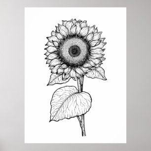 Poster Tournesol