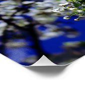 Poster Tournesol (Coin)