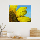 Poster Tournesol (Cuisine)