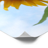 Poster Tournesol (Coin)