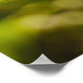 Poster Tournesol (Coin)