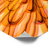 Poster Tournesol (Coin)