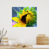 Poster Tournesol (Cuisine)