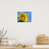 Poster Tournesol (Cuisine)