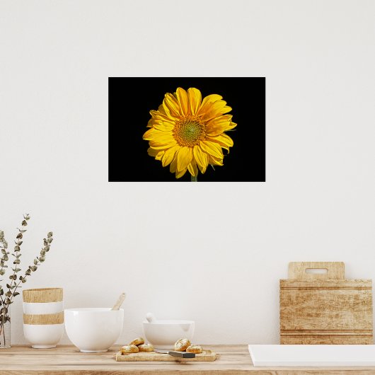 Poster Tournesol (Cuisine)