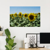 Poster Tournesol (Bureau à domicile)