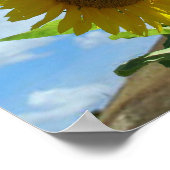 Poster - Tournesol (Coin)