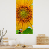 Poster Tournesol (Cuisine)