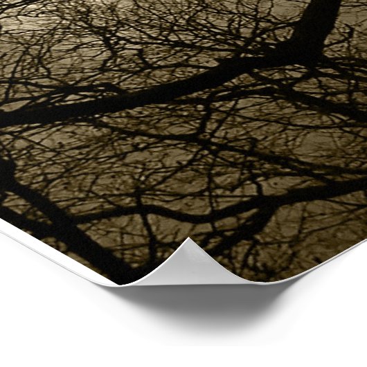 Poster tournesol (Coin)