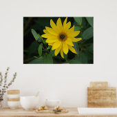 Poster Tournesol (Cuisine)