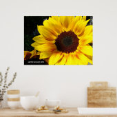 Poster Tournesol (Cuisine)