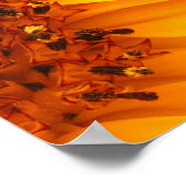 Poster Tournesol (Coin)
