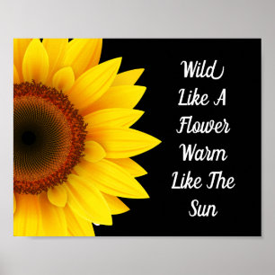 Poster Tournesol