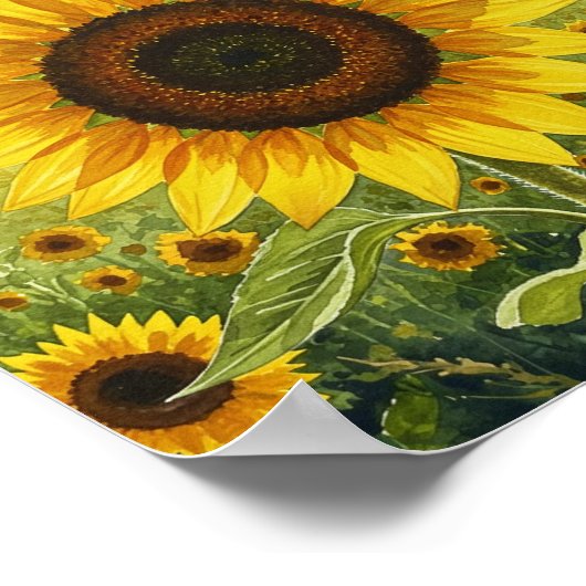 Poster Tournesol (Coin)