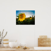 Poster Tournesol (Cuisine)