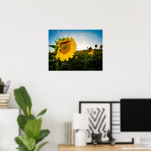 Poster Tournesol (Bureau à domicile)