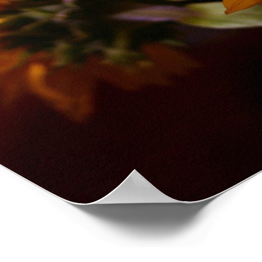 Poster Tournesol (Coin)