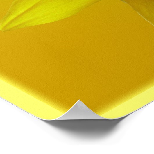 Poster Tournesol Art Imprimer Belle Fleur Art Imprimer (Coin)