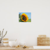 Poster Tournesol Au Soleil (Cuisine)