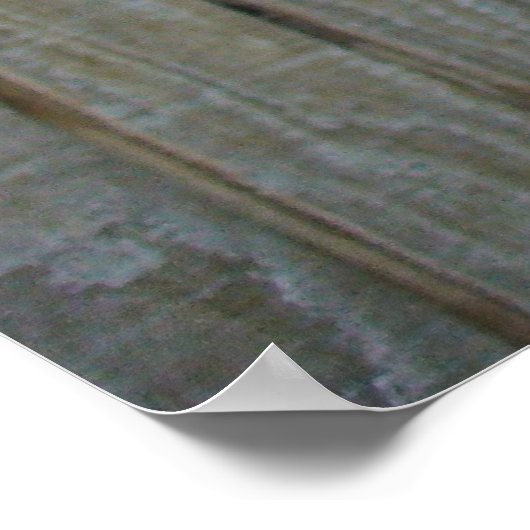 Poster Tournesol avec abeille (Coin)