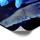 Poster Tournesol bleu, marguerite bleue, fleur bleue (Coin)