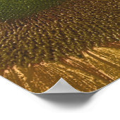 Poster Tournesol Centre Art crayon coloré (Coin)