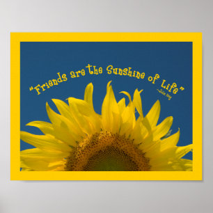Poster Tournesol de l'amitié