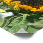 Poster Tournesol En Miroir Soleil Abstrait (Coin)