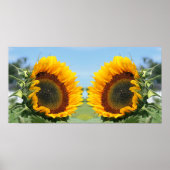 Poster Tournesol En Miroir Soleil Abstrait (Devant)