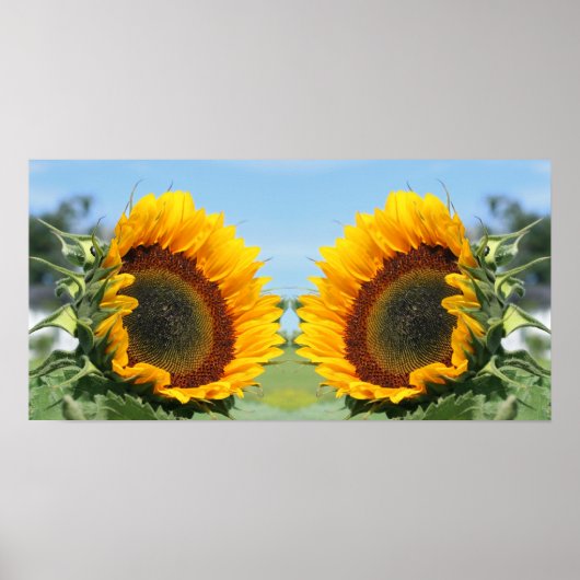 Poster Tournesol En Miroir Soleil Abstrait (Devant)