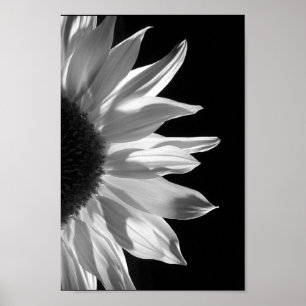 Poster Tournesol en noir et blanc