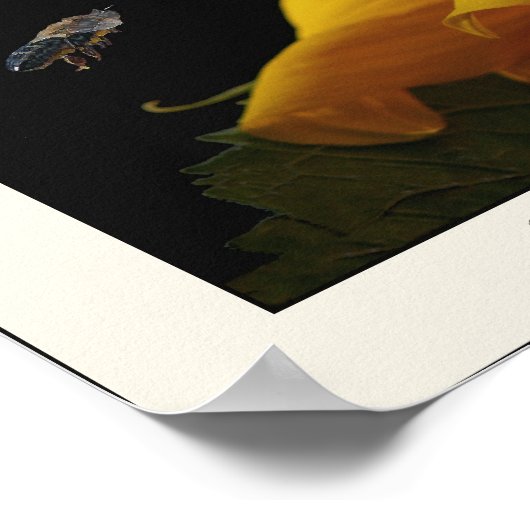 Poster Tournesol et abeille (Coin)