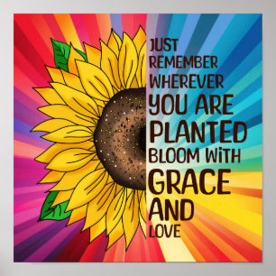 Poster Tournesol et citation Où que vous soyez planté