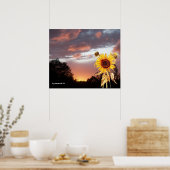 POSTER TOURNESOL ET COUCHER DE SOLEIL D'ÉTÉ ROSE (Cuisine)