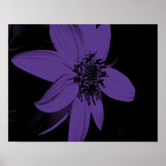Poster Tournesol Fleur Violet Abstrait (Devant)