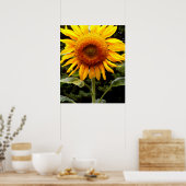 Poster Tournesol géant, fleur jaune (Cuisine)