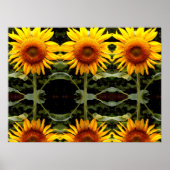Poster Tournesol géant, fleurs jaunes motif (Devant)