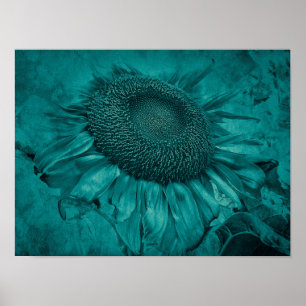 Poster Tournesol géant Turquoise Bleu Vintage Antique