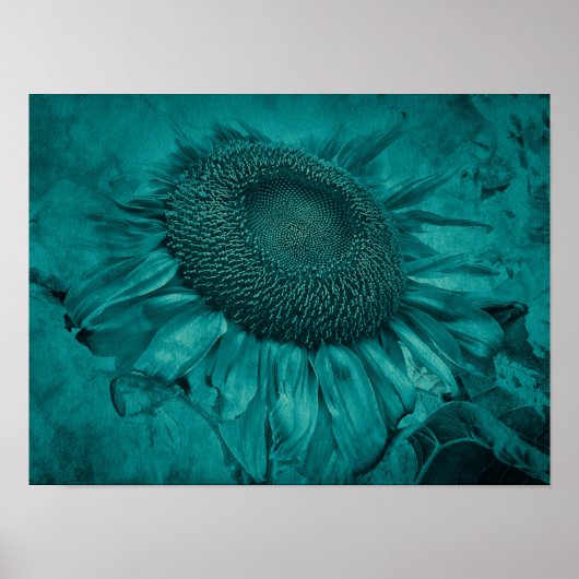 Poster Tournesol géant Turquoise Bleu Vintage Antique (Devant)