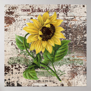 Poster Tournesol jaune sur panneau en bois rustique