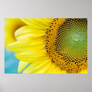 Poster Tournesol lumineux