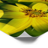 Poster Tournesol Maximillian Abstrait (Coin)