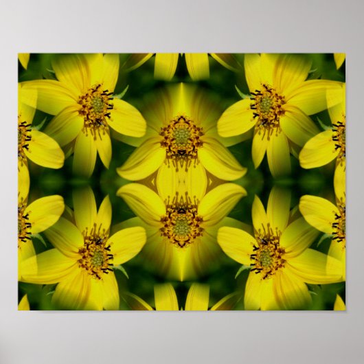 Poster Tournesol Maximillian Abstrait (Devant)