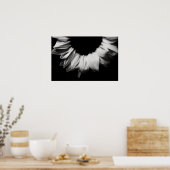 Poster Tournesol noir et blanc (Cuisine)