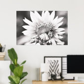 Poster Tournesol noir et blanc et abeille (Bureau à domicile)