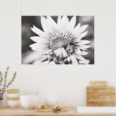 Poster Tournesol noir et blanc et abeille (Cuisine)